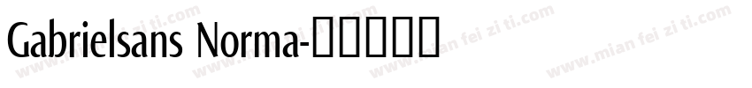 Gabrielsans Norma字体转换